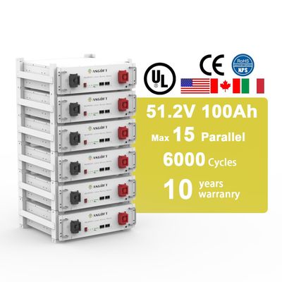 UL Sertifikasyonu LiFePO4 Enerji Depolama Pil 51.2V 100Ah Yüklü Rak