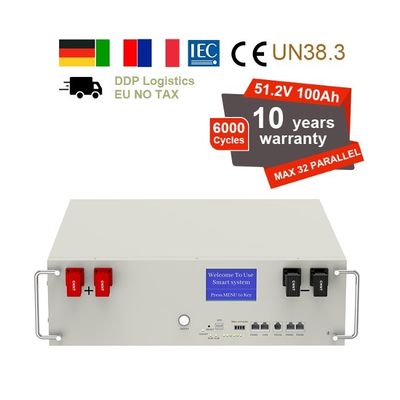 51.2V 100Ah 5kWh Lifepo4 Batarya Paketi Ev Enerji Depolama için BMS Serve Rack ile